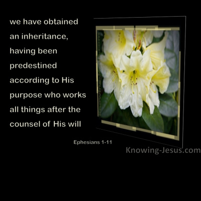 Ephesians 1-11