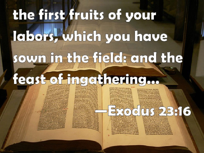 Exodus 23-16