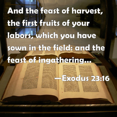 Exodus 23-16