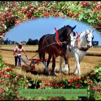 Horse Plough